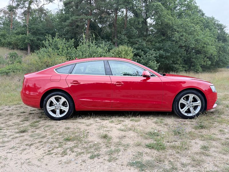 Audi A5 (2014) 2.0 TDI 130kW quattro S line - fotka 4 z 26