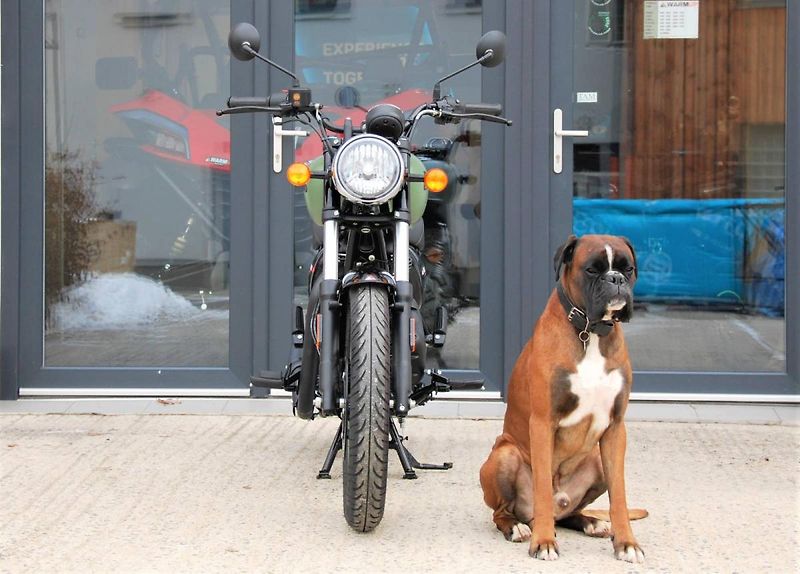 Royal Enfield Meteor 350 (2026) 350 Meteor GREEN - fotka 7 z 25