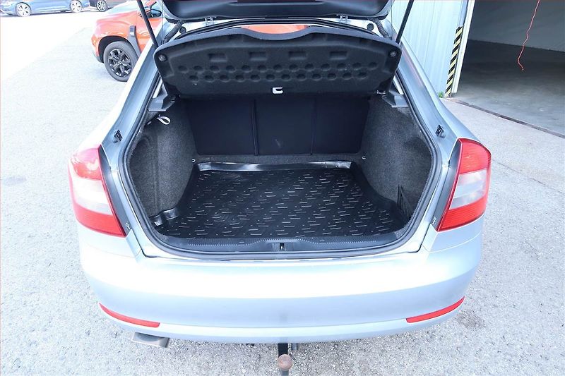 Škoda Octavia (2009) 1.6, Navi, Tempomat - fotka 13 z 17
