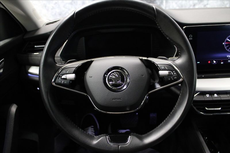 Škoda Octavia 2,0 TDI DSG Style 1.majitel CZ - fotka 15 z 36