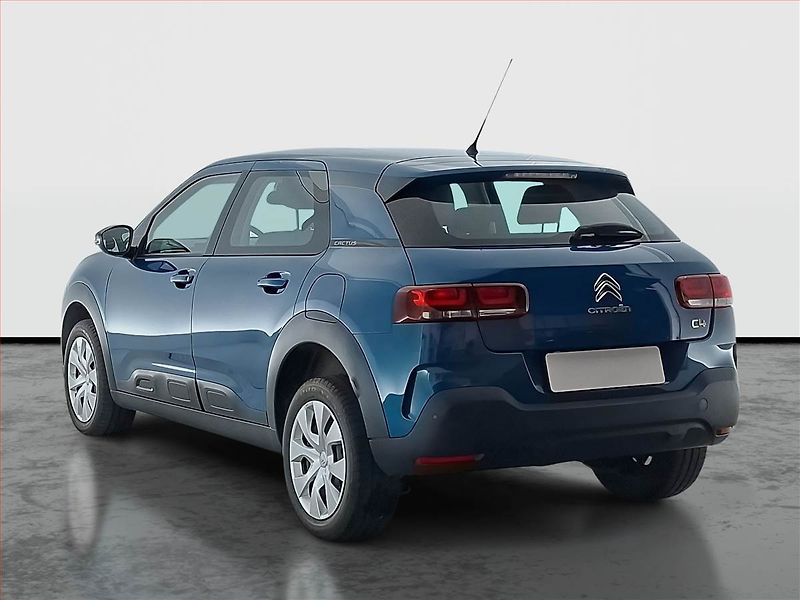 Citroën C4 Cactus (2019) 1.2 PureTech, Serv.kniha - fotka 4 z 15