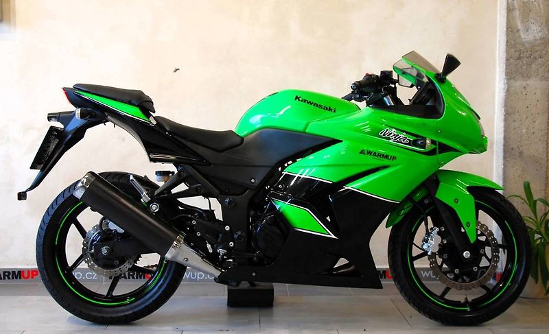 Kawasaki Ninja 250 R (2010) Ninja 250R - hezký stav, ŘP sk - fotka 1 z 20