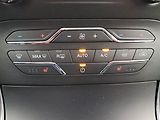 Ford Edge (2019) 2.0 EcoBlue BiTurbo, 4X4 - náhled 16