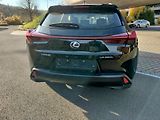 Lexus UX 250h kožené a vyhřívané sedačky - náhled 6