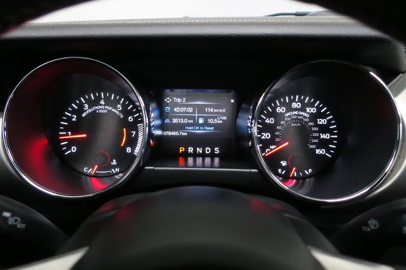 Ford Mustang (2015) 5.0 Ti-VCT V8 GT 50 automat - fotka 27 z 48