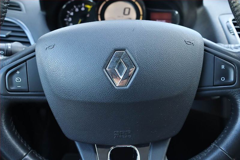 Renault Mégane (2015) 1.6 16V, Tempomat - fotka 17 z 19