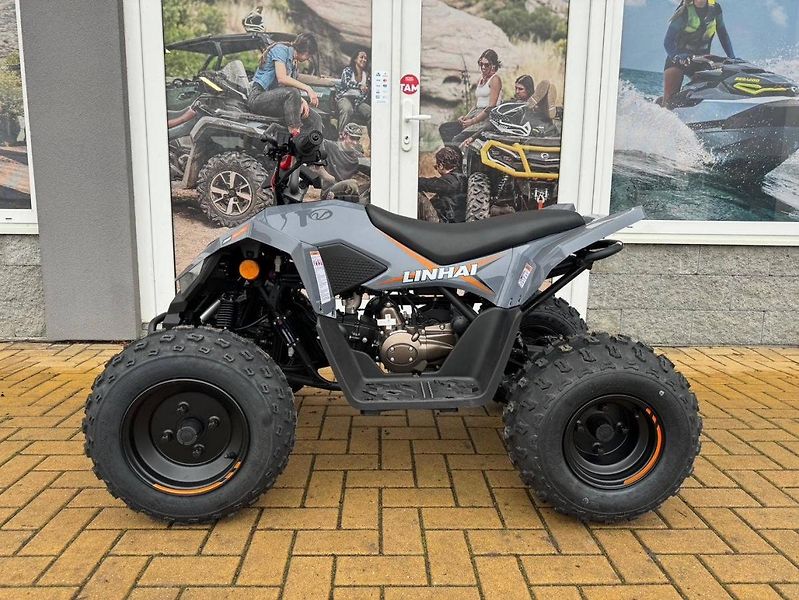 Linhai (2026) ATV 110 - fotka 1 z 3
