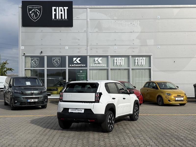 Fiat Grande Panda (2026) Icon 1.2 Turbo Hybrid 110k eDC - fotka 5 z 24