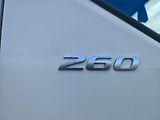 DAF LF 260, 12t, čelo, 117 TKM - náhled 8