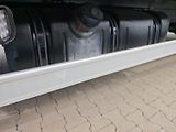DAF LF 210, 18 PALET, ČELO, KLIMA - náhled 24