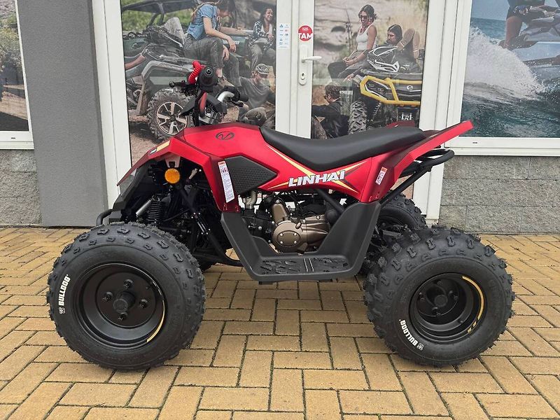 Linhai (2026) ATV 110 - fotka 6 z 6