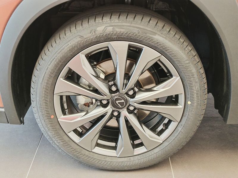 Lexus UX 300h F Sport Design 300H - fotka 14 z 44