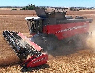 Massey Ferguson (2015) Delta 9380 kombajn lišta řepka - fotka 2 z 8