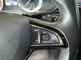 Škoda Superb (2017) 2.0 Tsi 4x4, ČR, DSG, navi - náhled 19