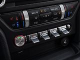 Ford Mustang 5,0 GT V8 330kW 55YearsEdition - náhled 30