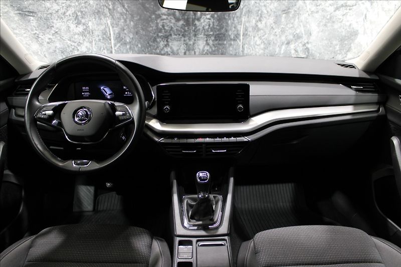 Škoda Octavia 2,0 TDI Ambition 1.majitel CZ - fotka 29 z 32