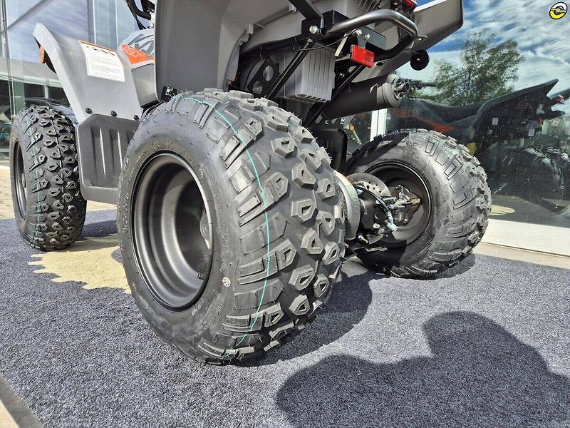 Kayo 180 Sport (2026) A150 - fotka 12 z 18