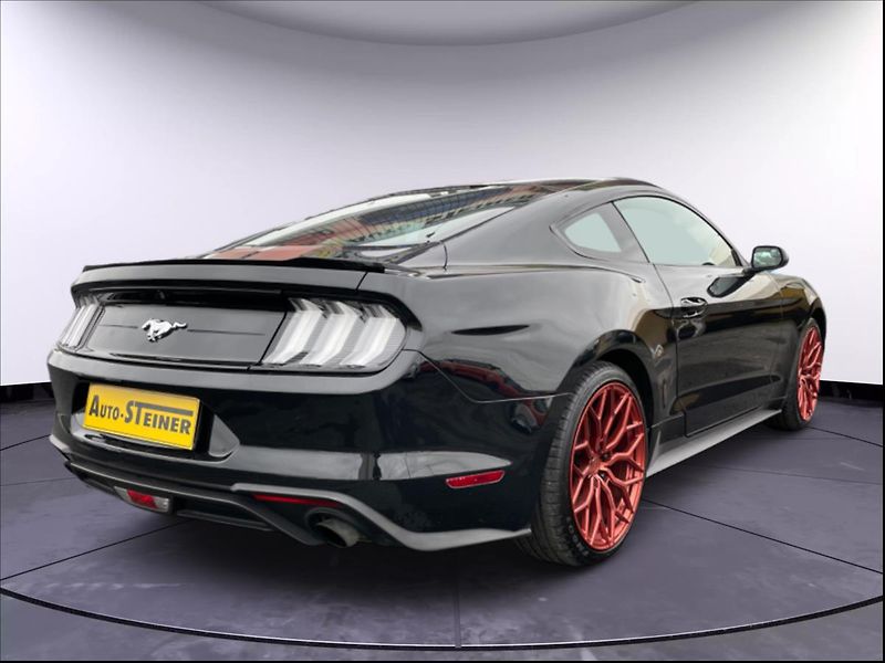 Ford Mustang 2,3 EcoBoost/AUTOMAT - fotka 7 z 23