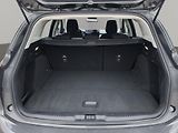 Ford Focus (2022) Titanium 1.5 EcoBlue 88kW, ČR, - náhled 27