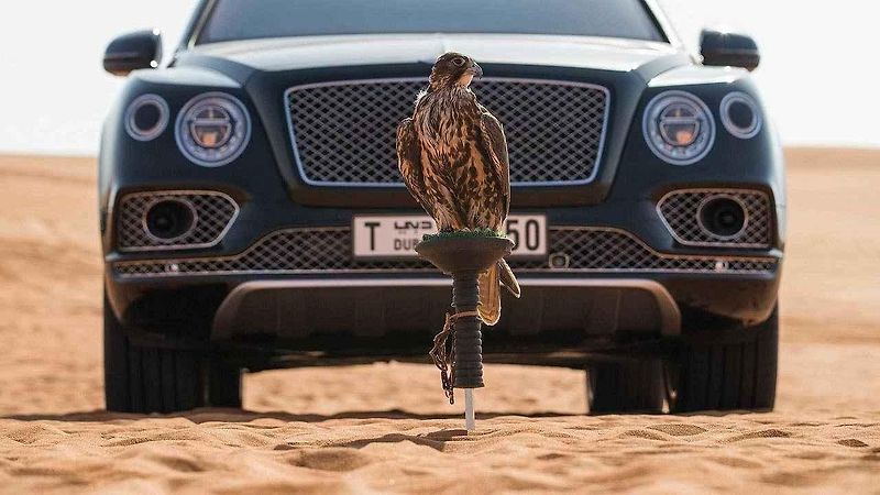Bentley Bentayga Falconry.