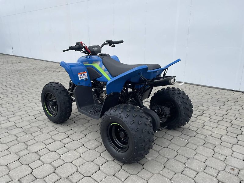 CFMOTO (2026) Gladiator X110 LE - fotka 7 z 11