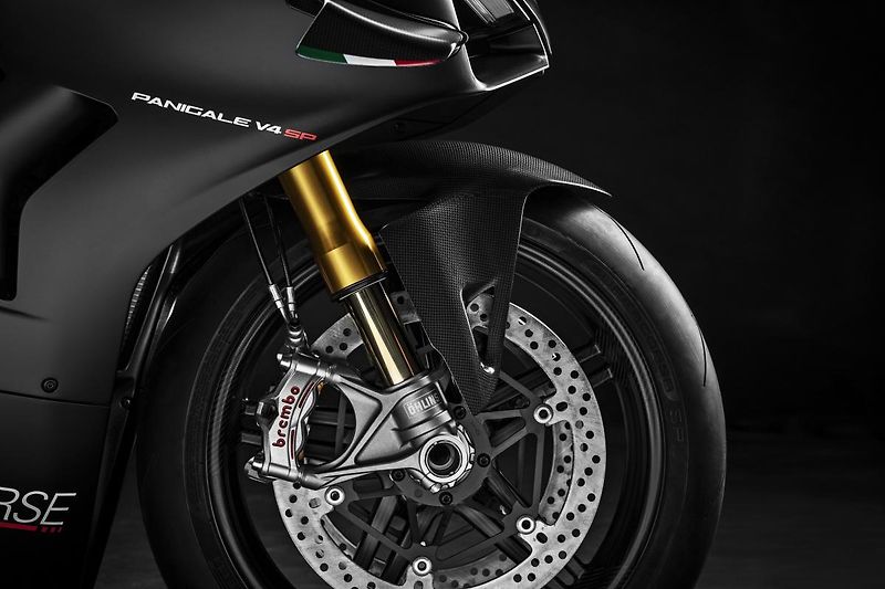 Ducati Panigale V4 S (2021) SP - fotka 43 z 51