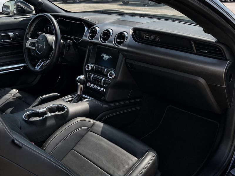 Ford Mustang 5,0 GT V8 330kW 55YearsEdition - fotka 14 z 36
