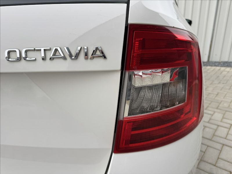 Škoda Octavia 1,6 TDI 81kW 2.maj. původ ČR - fotka 16 z 50
