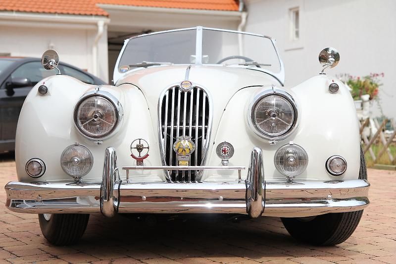 Jaguar XK (1954) 140 OTS - fotka 3 z 11