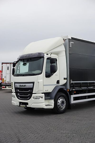 DAF LF (2019) 290 / E 6 / FIRANKA + WINDA /  - fotka 21 z 44