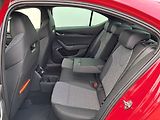 Škoda Octavia (2025) IV Sportline 1.5 TSI m-HEV / 1 - náhled 24