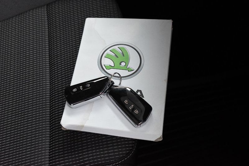 Škoda Octavia 2.0 TDI AMBITION PLUS*DPH*ČR 1 - fotka 28 z 35