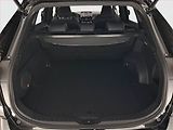 Toyota RAV4 (2021) 2.5 Hybrid - náhled 14