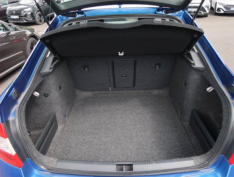 Škoda Octavia (2015) Ambition 1.6 TDI, Tempomat - fotka 13 z 16