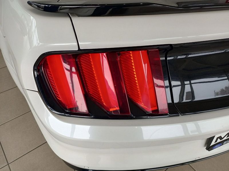 Ford Mustang (2017) GT 5.0 V8 - fotka 11 z 12