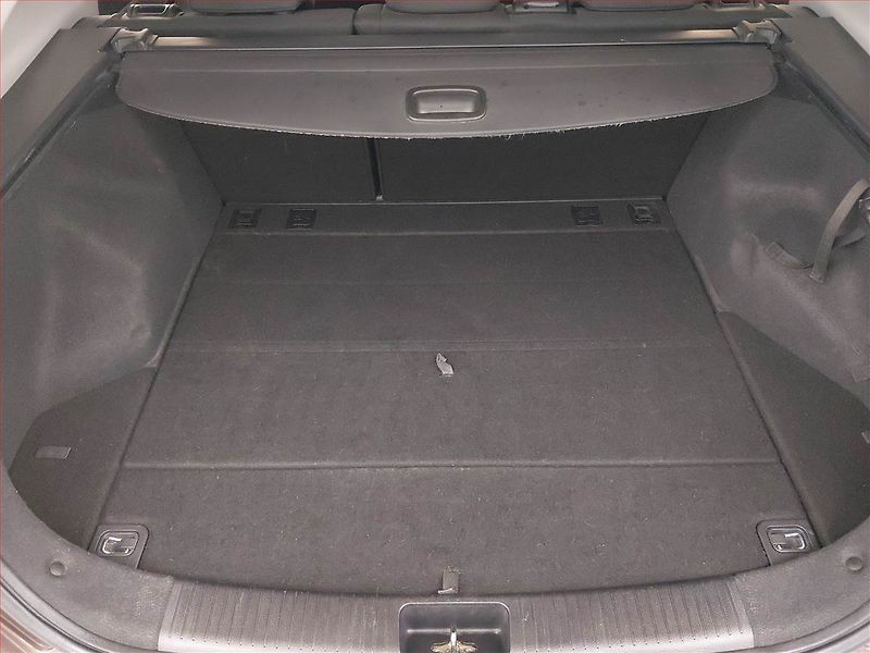 Kia Ceed (2012) 1.6 GDI, Navi, Xenony - fotka 13 z 17
