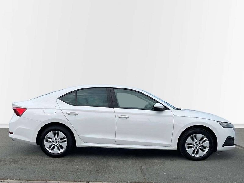 Škoda Octavia (2022) Ambition 2.0 TDI - fotka 7 z 20