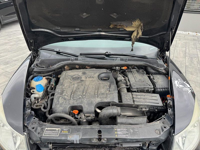 Škoda Octavia (2010) 1.6 TDI 77kW - fotka 29 z 29