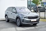 Škoda Kodiaq (2024) Exclusive Selection 2.0 TDI 14 - náhled 6