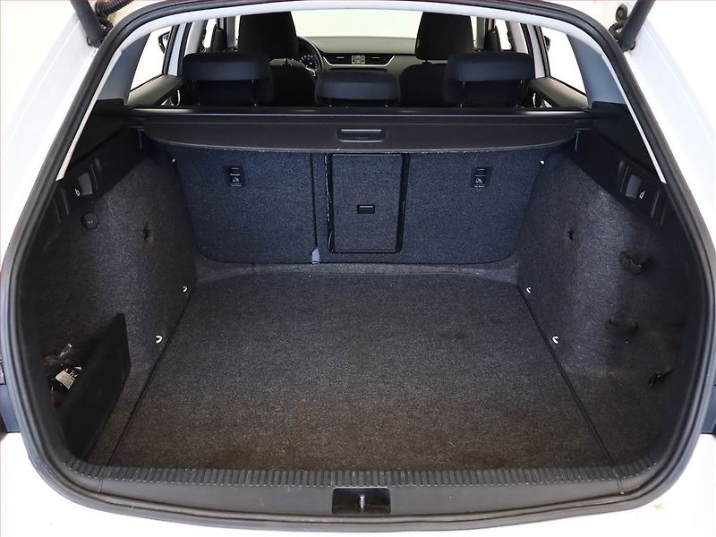 Škoda Octavia (2014) Ambition 1.6 TDI, Automat - fotka 12 z 15