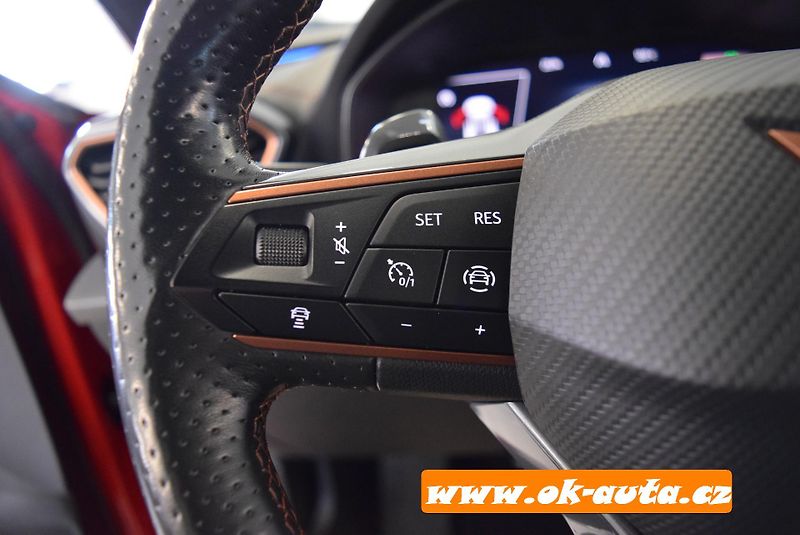 Cupra Formentor 2.0 TDI 4x4 DSG 33 000 KM - fotka 34 z 66