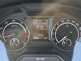 Škoda Octavia RS 2.0 TSI CHALLENGE DSG XENON - náhled 18