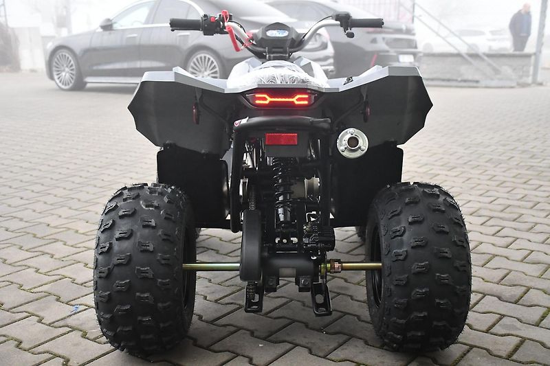 Linhai Ostatní (2026) ATV 110 2X4 EFI CE  - fotka 5 z 14