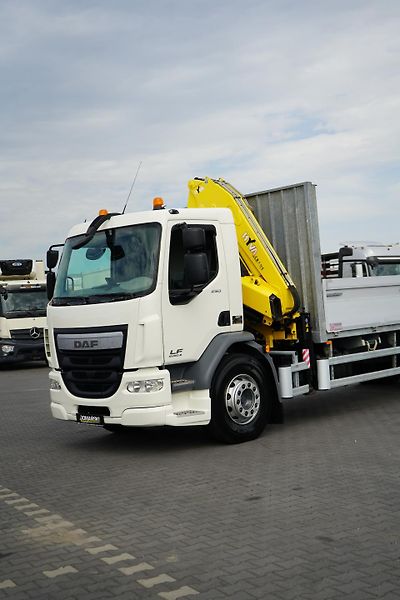 DAF LF (2015) / 250 / SKRZYNIOWY + HDS / HYV - fotka 32 z 52