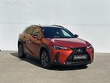 Lexus UX 250h 2,0 HSD F Sport Design AWD - náhled 6