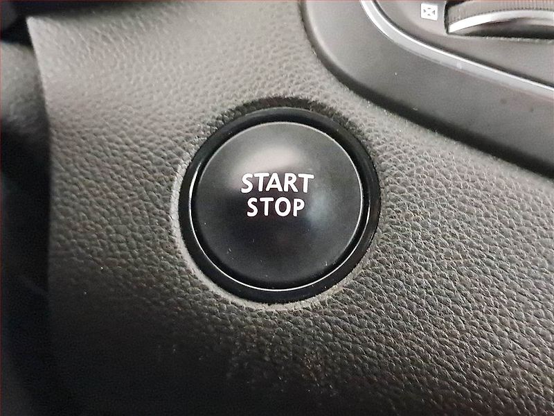 Renault Mégane (2019) Limited 1.5 Blue dCi, ČR,1.maj - fotka 17 z 21