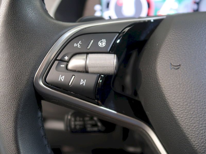 Škoda Octavia (2024) TOP SELECTION 2.0TDI 110KW DSG - fotka 20 z 43