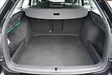 Škoda Octavia (2024) TDI 85 kW Ambition - náhled 7