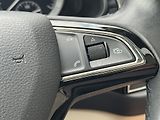 Škoda Kodiaq (2018) 2.0TSi DSG 4X4 Style, ACC PANO - náhled 33