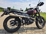 Ostatní (2023) Tempest Scrambler 125 - náhled 4